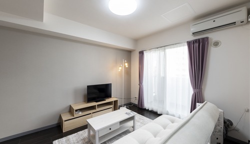 Basic Apartment