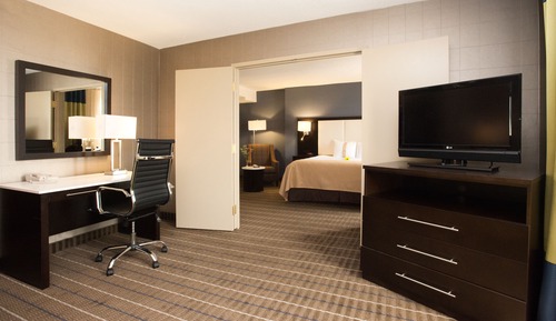 Suite, 1 King Bed with Sofa bed