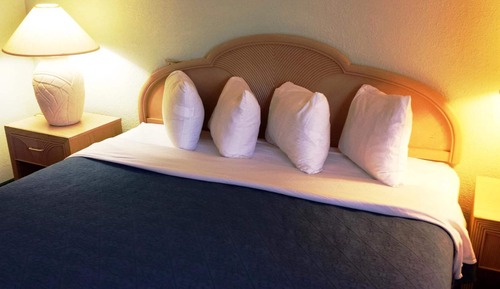 Standard Suite, 1 Queen Bed with Sofa bed, Accessible
