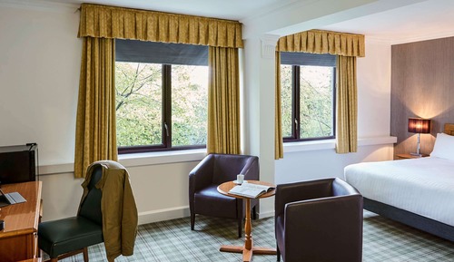 Privilege, Room, 1 Double Bed