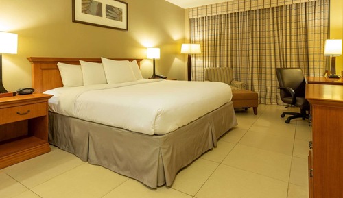 Suite, 1 Bedroom, Non Smoking, Ocean View
