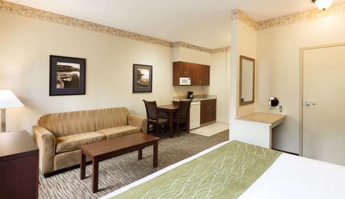 Studio Suite, 1 King Bed with Sofa bed, Non Smoking