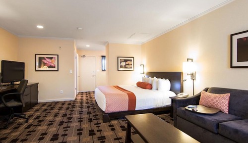 Deluxe Room, 1 King Bed, Non Smoking, Refrigerator & Microwave