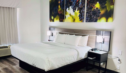 Standard Room, 1 King Bed, Non Smoking