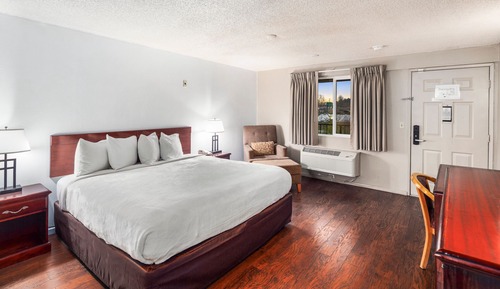Room, 1 King Bed