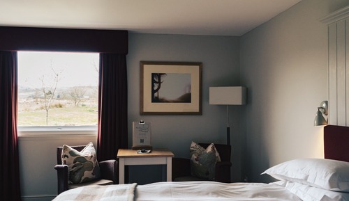 Classic Single Room (Not pet friendly)