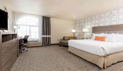 Standard Studio, 1 King Bed, Accessible, Non Smoking (Mobility)