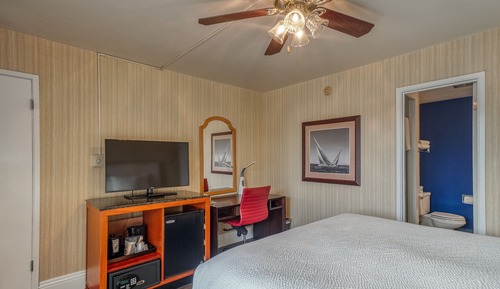 Run of House 1-Bed