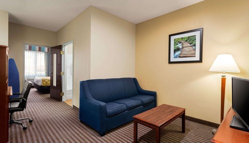 Suite, 1 King Bed with Sofa bed, Non Smoking (One-Bedroom)