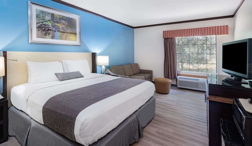 Room, 1 King Bed, Refrigerator