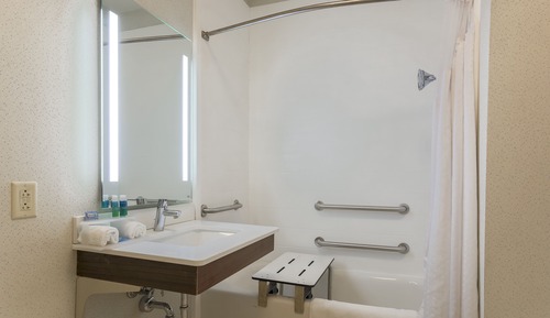 Standard Room, 1 King Bed, Mobility Accessible (Roll-In Shower)