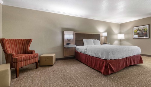 Room, 1 King Bed, Non Smoking, View