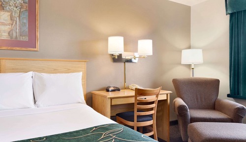 Room, 1 King Bed, Non Smoking