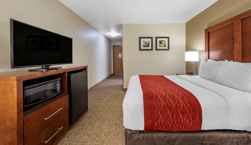 Room, 1 Double Bed, Accessible, Non Smoking (Roll-In Shower)