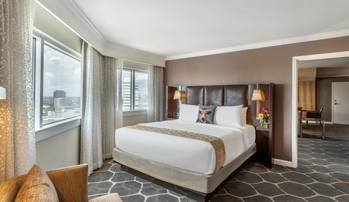 Suite, 1 King Bed, City View