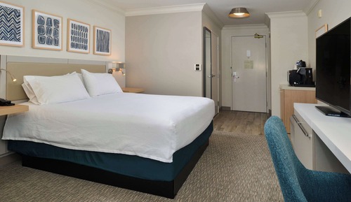 One King Bed