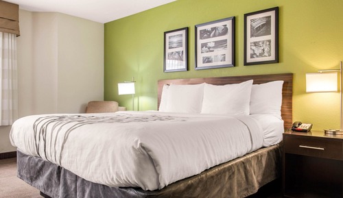 Standard Room, 1 King Bed