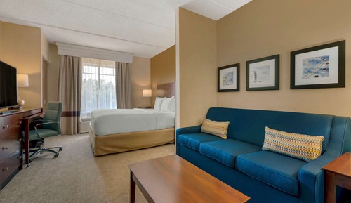 Suite, Non Smoking (1 King, Accesible + 2 person sofabed)