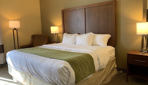 Standard Room, 1 King Bed, Non Smoking
