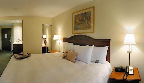 Room, 1 King Bed