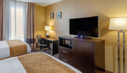 Room, Multiple Beds, Non Smoking