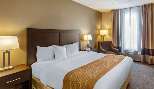 Standard Room, 1 King Bed, Non Smoking