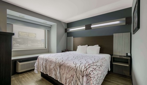 Standard Room, 1 King Bed, Non Smoking, Refrigerator & Microwave