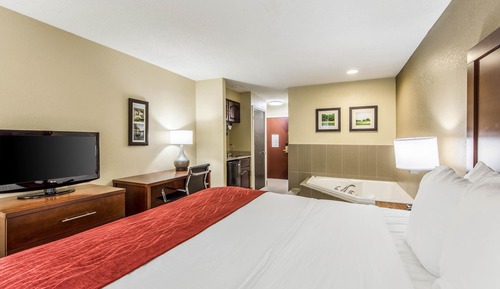 Standard Suite, 1 King Bed, Non Smoking, Jetted Tub (1 Person Jetted Tub)