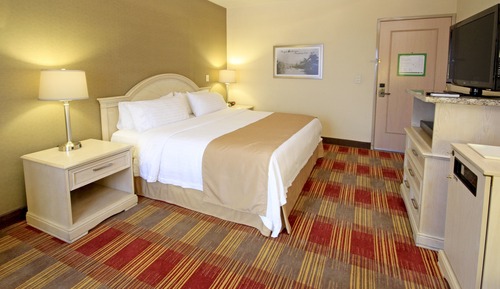 Standard Room, 1 King Bed