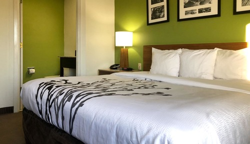 Room, 1 King Bed