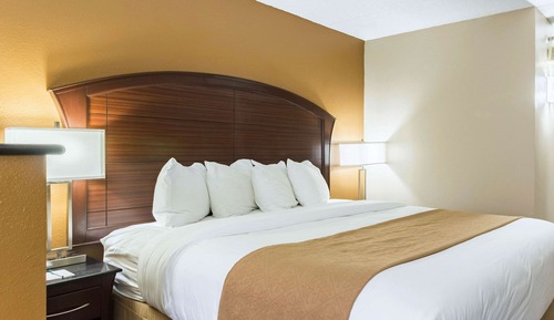 Standard Room, 1 King Bed, Non Smoking