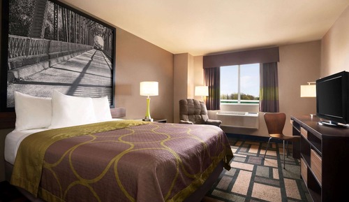 Room, 1 Queen Bed, Non Smoking, Refrigerator