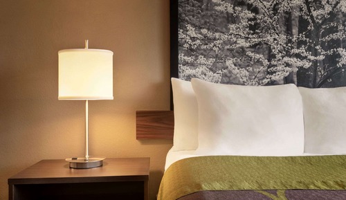 Studio Suite, Multiple Beds, Smoking