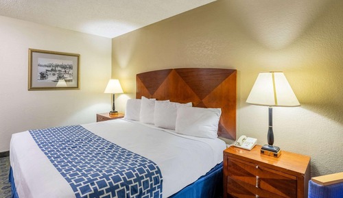 Standard Room, 1 King Bed, Non Smoking, Jetted Tub