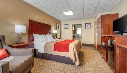 Standard Room, 1 Queen Bed, Non Smoking