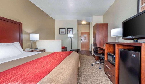 Suite, 1 King Bed with Sofa bed, Non Smoking