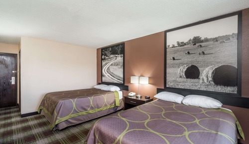 Standard Room, 2 Double Beds