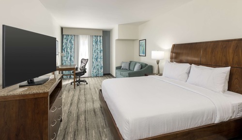 Room, 1 King Bed with Sofa bed