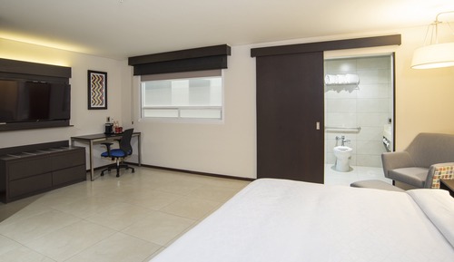 Standard Room, 1 King Bed, Accessible