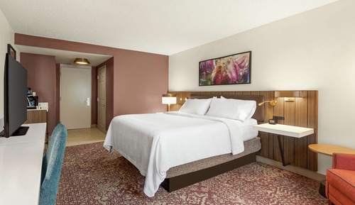 Room, 1 King Bed, Accessible (Mobility & Hearing, Roll-in Shower)