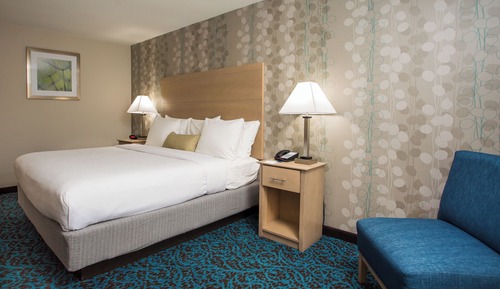 Room, 1 King Bed