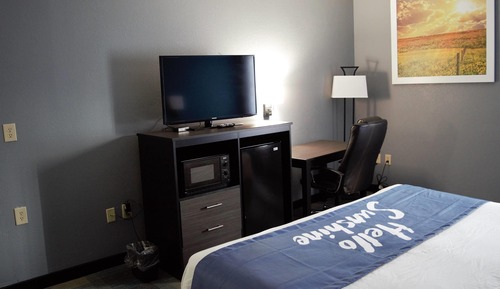 Room, 1 King Bed, Refrigerator & Microwave
