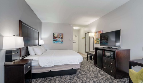 Room, 1 King Bed, Non Smoking