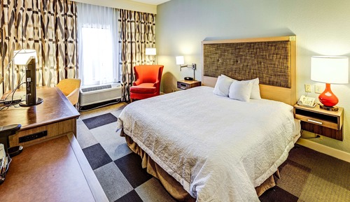Room, 1 King Bed, Accessible, Non Smoking