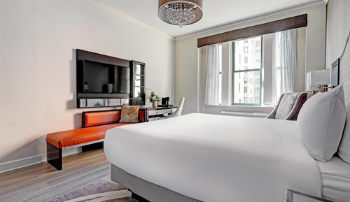 Room, 1 King Bed, Accessible (Shower)