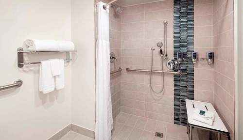 Standard Room, 1 King Bed, Non Smoking (Mobility/Hearing Access, Roll-in Shwr)