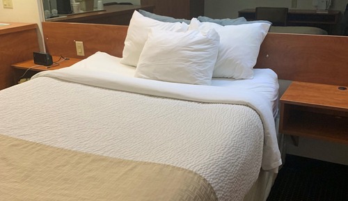 Room, 1 Queen Bed, Non Smoking, Refrigerator & Microwave (Efficiency)