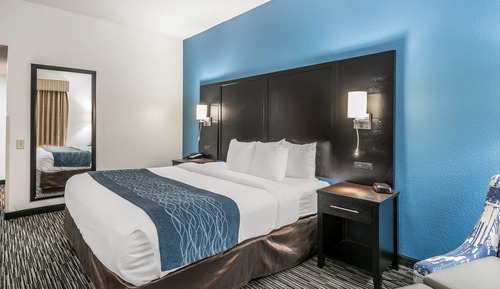 Standard Room, 1 King Bed, Non Smoking (Not Pet Friendly)
