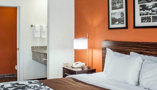 Standard Room, 1 Queen Bed, Accessible, Non Smoking