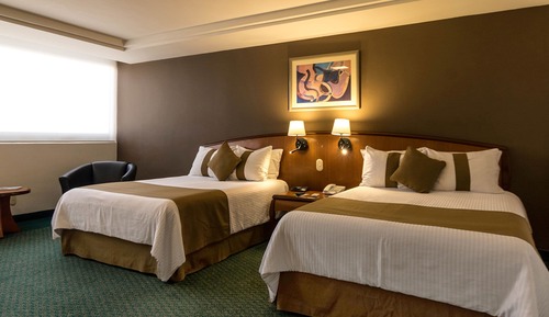 Room (Dog Friendly)